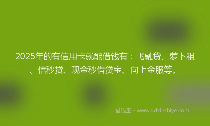 2025年的有信用卡就能借钱有：飞融贷、萝卜租、信秒贷、现金秒借贷宝、向上金服等。