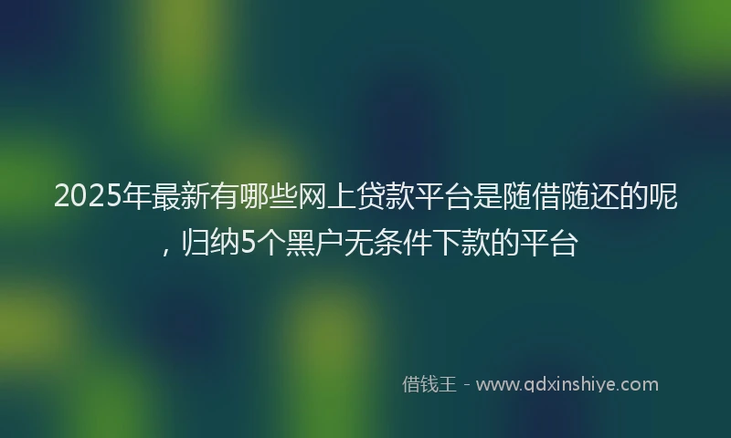 2025年最新有哪些网上贷款平台是随借随还的呢，归纳5个黑户无条件下款的平台