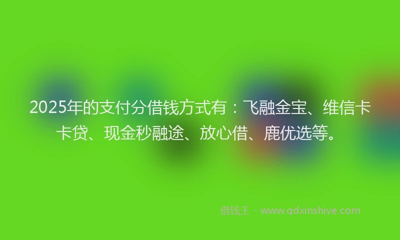 2025年的支付分借钱方式有：飞融金宝、维信卡卡贷、现金秒融途、放心借、鹿优选等。