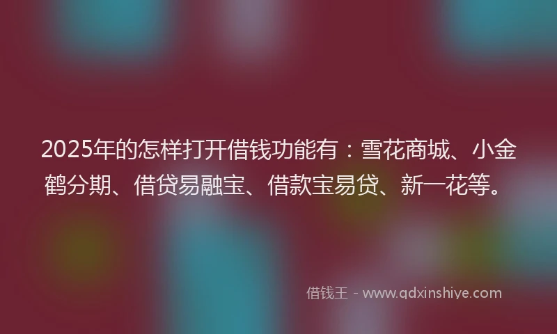 2025年的怎样打开借钱功能有：雪花商城、小金鹤分期、借贷易融宝、借款宝易贷、新一花等。