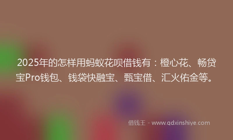 2025年的怎样用蚂蚁花呗借钱有：橙心花、畅贷宝Pro钱包、钱袋快融宝、甄宝借、汇火佑金等。
