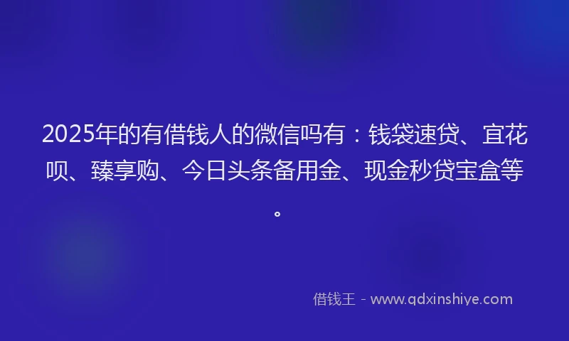 2025年的有借钱人的微信吗有：钱袋速贷、宜花呗、臻享购、今日头条备用金、现金秒贷宝盒等。