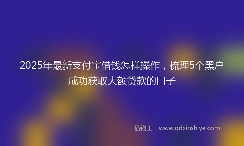 2025年最新支付宝借钱怎样操作，梳理5个黑户成功获取大额贷款的口子