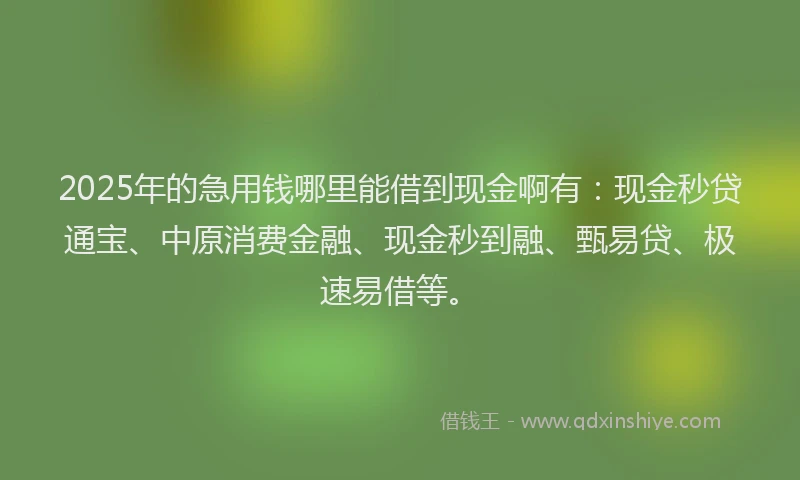 2025年的急用钱哪里能借到现金啊有：现金秒贷通宝、中原消费金融、现金秒到融、甄易贷、极速易借等。