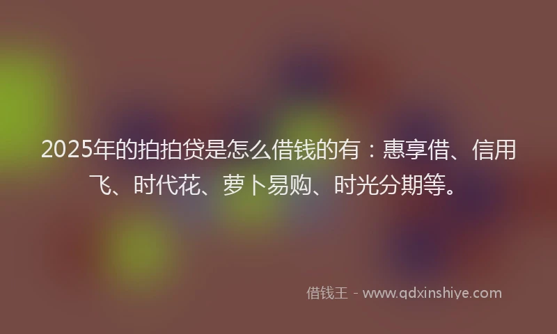 2025年的拍拍贷是怎么借钱的有：惠享借、信用飞、时代花、萝卜易购、时光分期等。