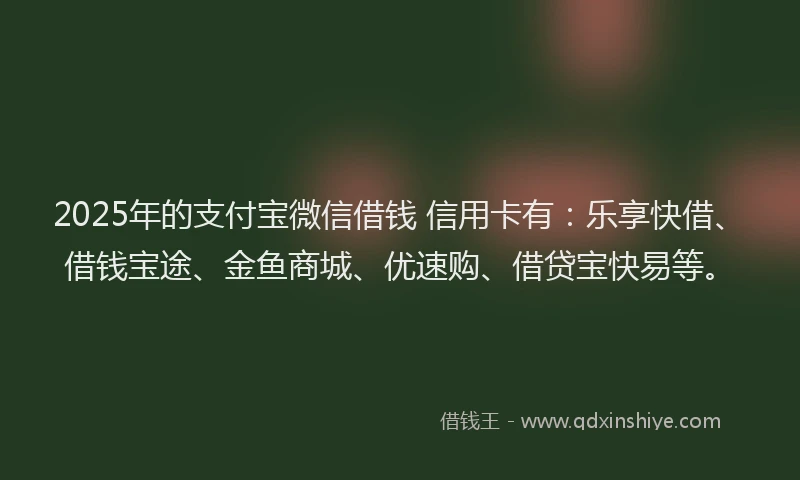 2025年的支付宝微信借钱 信用卡有：乐享快借、借钱宝途、金鱼商城、优速购、借贷宝快易等。