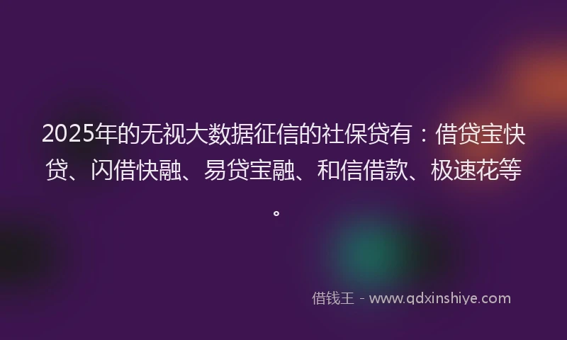 2025年的无视大数据征信的社保贷有：借贷宝快贷、闪借快融、易贷宝融、和信借款、极速花等。