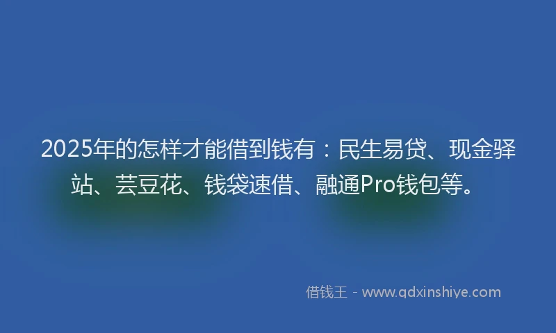 2025年的怎样才能借到钱有：民生易贷、现金驿站、芸豆花、钱袋速借、融通Pro钱包等。