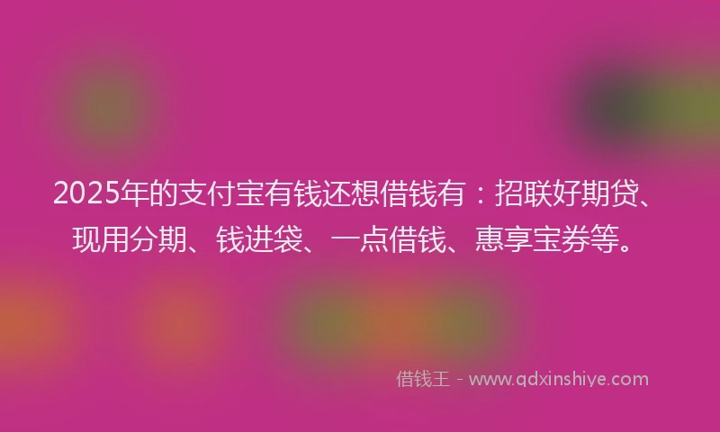 2025年的支付宝有钱还想借钱有：招联好期贷、现用分期、钱进袋、一点借钱、惠享宝券等。
