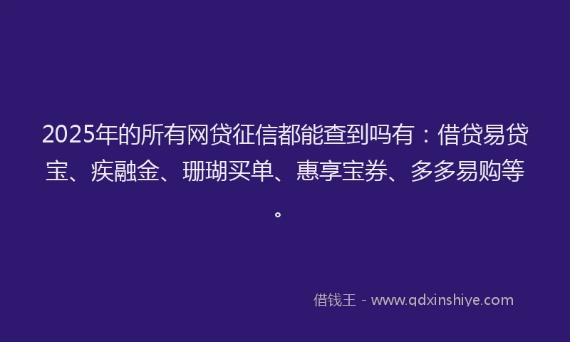 2025年的所有网贷征信都能查到吗有：借贷易贷宝、疾融金、珊瑚买单、惠享宝券、多多易购等。