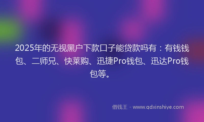2025年的无视黑户下款口子能贷款吗有：有钱钱包、二师兄、快莱购、迅捷Pro钱包、迅达Pro钱包等。
