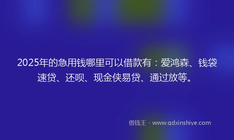2025年的急用钱哪里可以借款有：爱鸿森、钱袋速贷、还呗、现金侠易贷、通过放等。