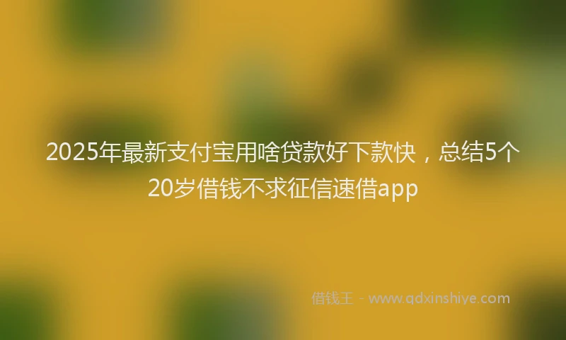 2025年最新支付宝用啥贷款好下款快，总结5个20岁借钱不求征信速借app