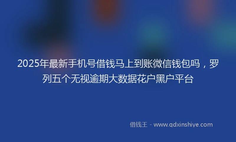 2025年最新手机号借钱马上到账微信钱包吗，罗列五个无视逾期大数据花户黑户平台