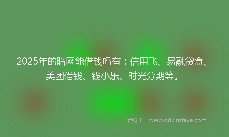 2025年的暗网能借钱吗有：信用飞、易融贷盒、美团借钱、钱小乐、时光分期等。