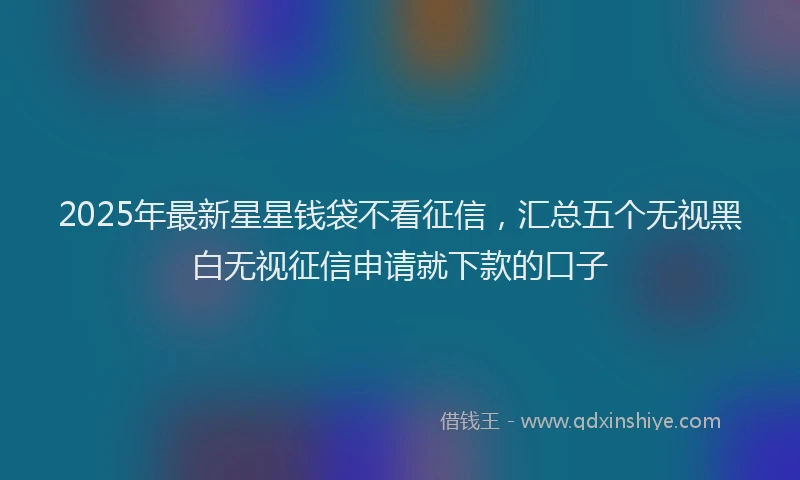 2025年最新星星钱袋不看征信，汇总五个无视黑白无视征信申请就下款的口子