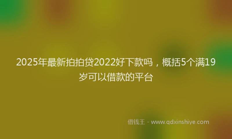 2025年最新拍拍贷2022好下款吗，概括5个满19岁可以借款的平台