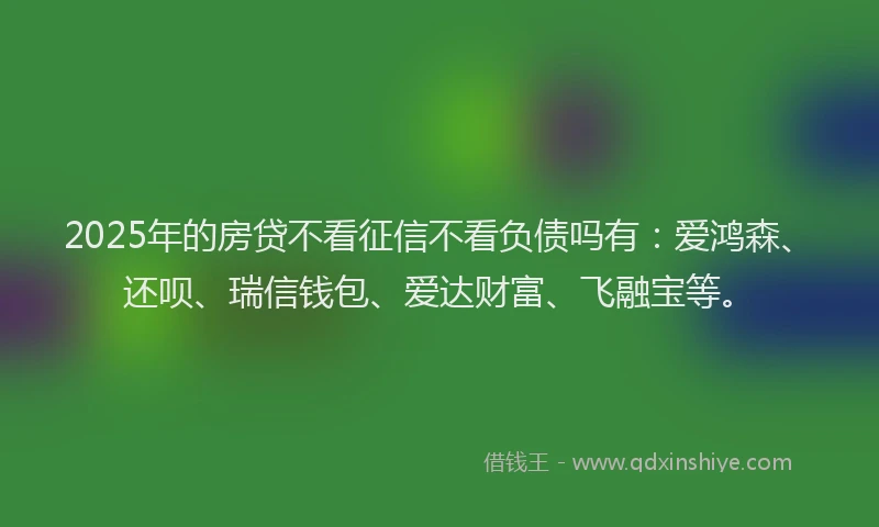 2025年的房贷不看征信不看负债吗有：爱鸿森、还呗、瑞信钱包、爱达财富、飞融宝等。