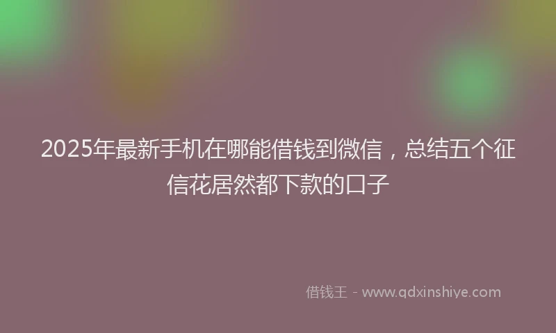 2025年最新手机在哪能借钱到微信，总结五个征信花居然都下款的口子