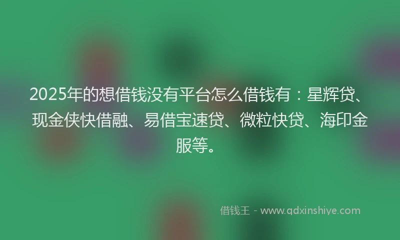 2025年的想借钱没有平台怎么借钱有：星辉贷、现金侠快借融、易借宝速贷、微粒快贷、海印金服等。