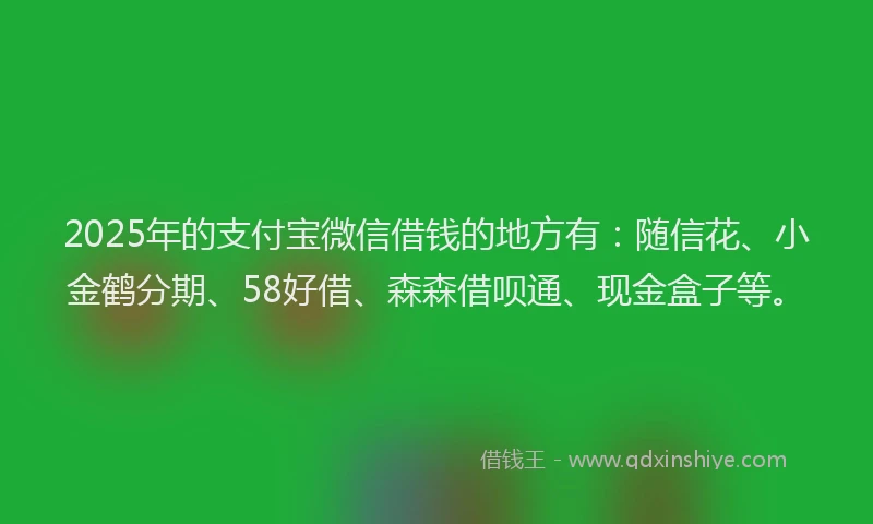 2025年的支付宝微信借钱的地方有：随信花、小金鹤分期、58好借、森森借呗通、现金盒子等。