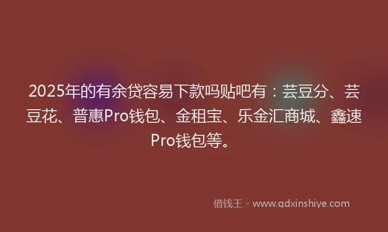 2025年的有余贷容易下款吗贴吧有：芸豆分、芸豆花、普惠Pro钱包、金租宝、乐金汇商城、鑫速Pro钱包等。