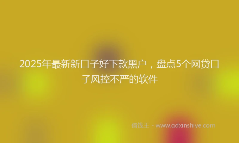 2025年最新新口子好下款黑户，盘点5个网贷口子风控不严的软件