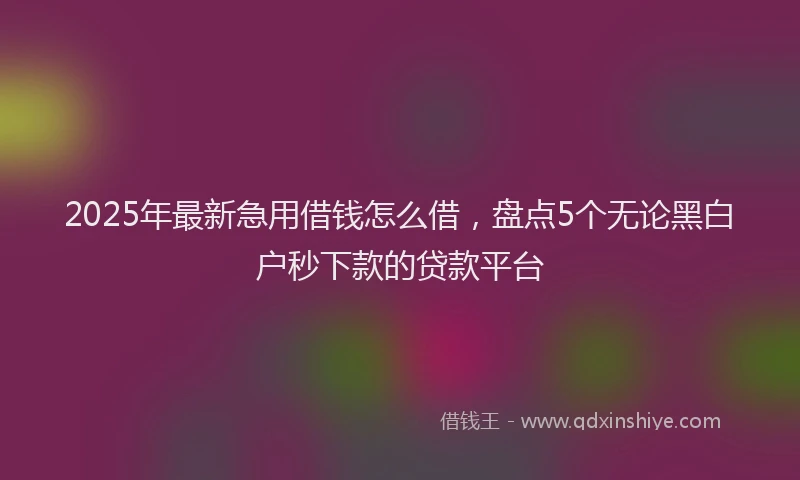 2025年最新急用借钱怎么借，盘点5个无论黑白户秒下款的贷款平台