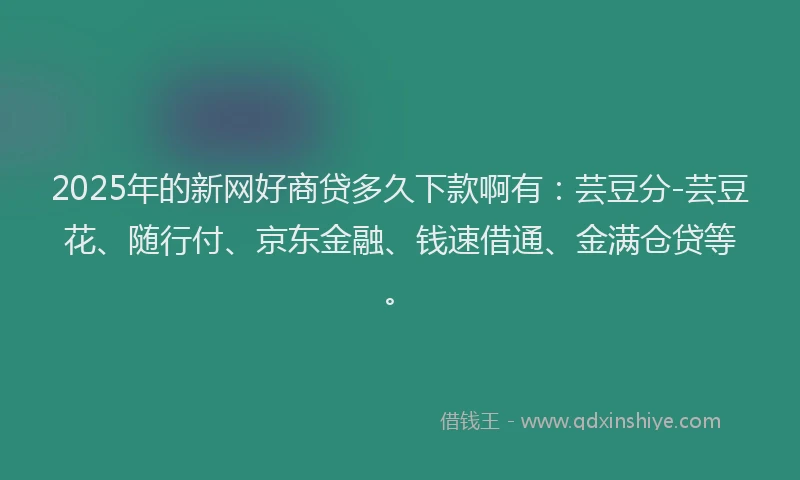 2025年的新网好商贷多久下款啊有：芸豆分-芸豆花、随行付、京东金融、钱速借通、金满仓贷等。