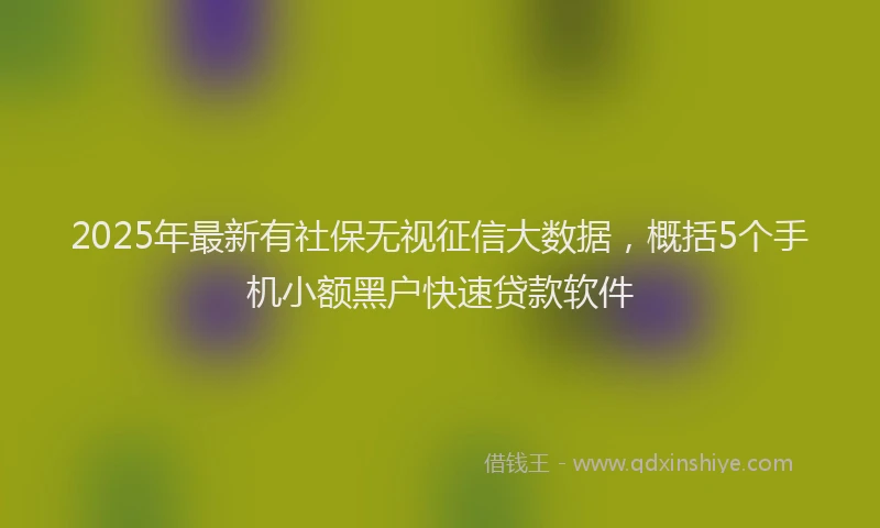 2025年最新有社保无视征信大数据，概括5个手机小额黑户快速贷款软件