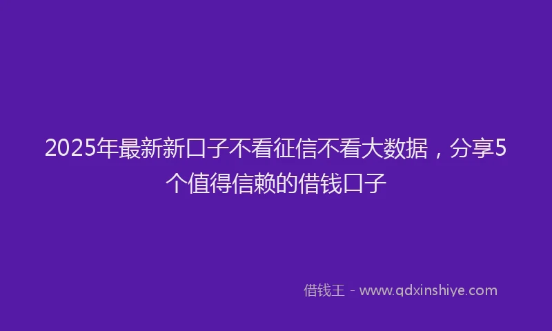 2025年最新新口子不看征信不看大数据，分享5个值得信赖的借钱口子