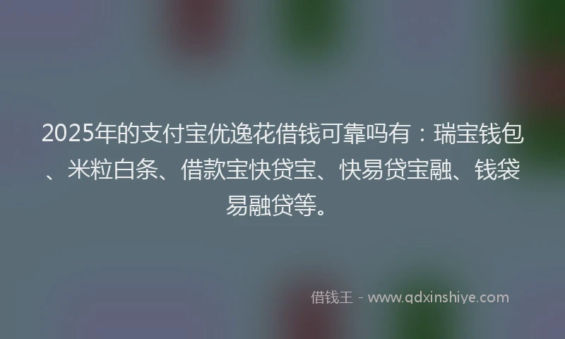 2025年的支付宝优逸花借钱可靠吗有：瑞宝钱包、米粒白条、借款宝快贷宝、快易贷宝融、钱袋易融贷等。