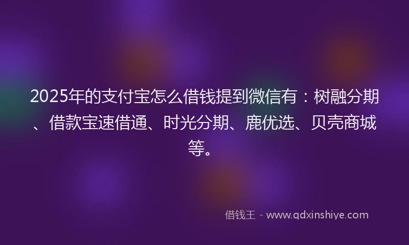 2025年的支付宝怎么借钱提到微信有：树融分期、借款宝速借通、时光分期、鹿优选、贝壳商城等。