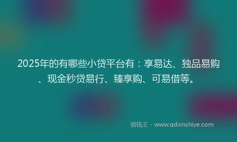 2025年的有哪些小贷平台有：享易达、独品易购、现金秒贷易行、臻享购、可易借等。
