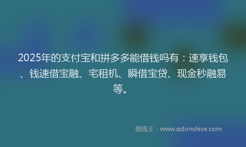 2025年的支付宝和拼多多能借钱吗有：速享钱包、钱速借宝融、宅租机、瞬借宝贷、现金秒融易等。