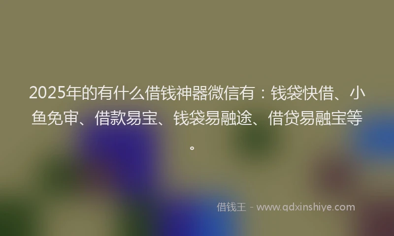 2025年的有什么借钱神器微信有：钱袋快借、小鱼免审、借款易宝、钱袋易融途、借贷易融宝等。