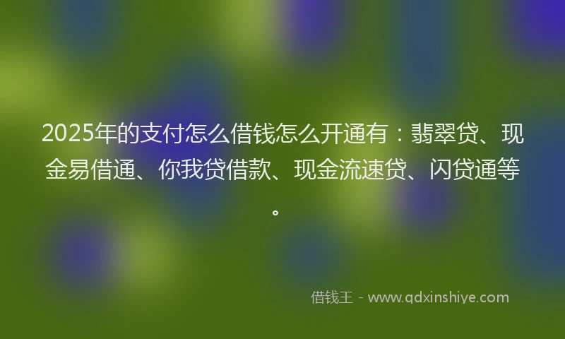 2025年的支付怎么借钱怎么开通有：翡翠贷、现金易借通、你我贷借款、现金流速贷、闪贷通等。