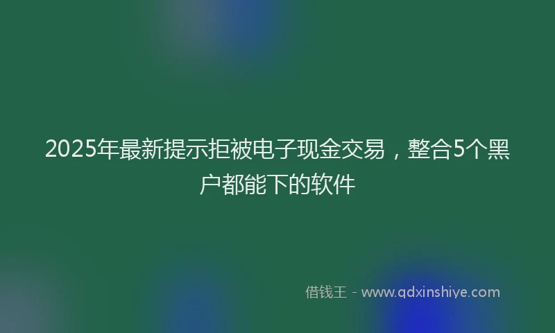 2025年最新提示拒被电子现金交易，整合5个黑户都能下的软件