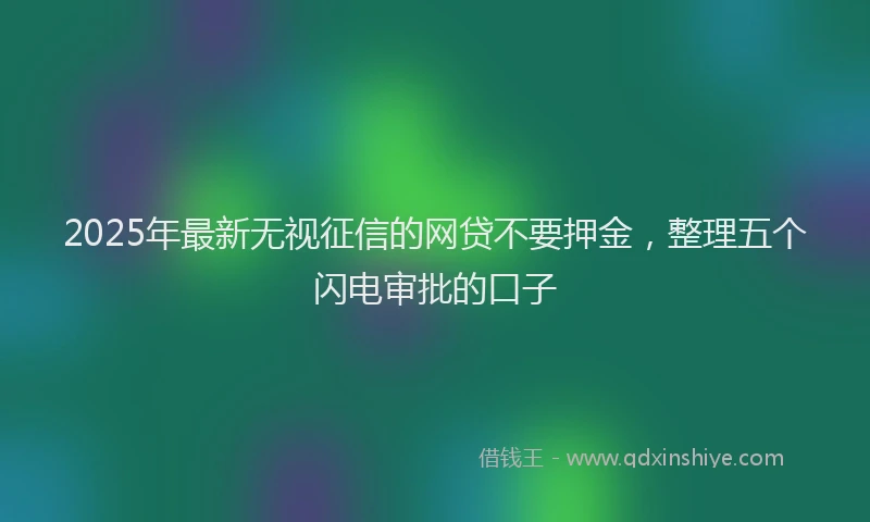 2025年最新无视征信的网贷不要押金，整理五个闪电审批的口子