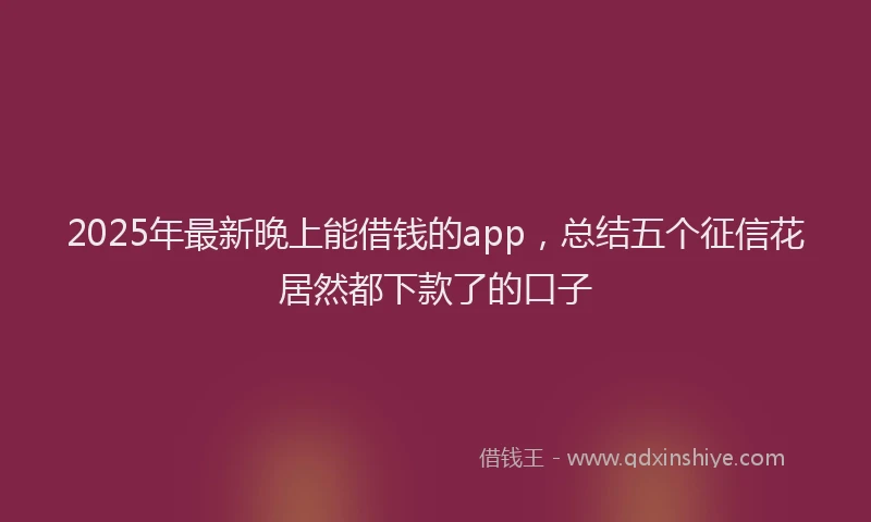 2025年最新晚上能借钱的app,总结五个征信花居然都下款了的口子