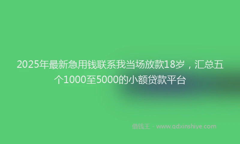 2025年最新急用钱联系我当场放款18岁，汇总五个1000至5000的小额贷款平台