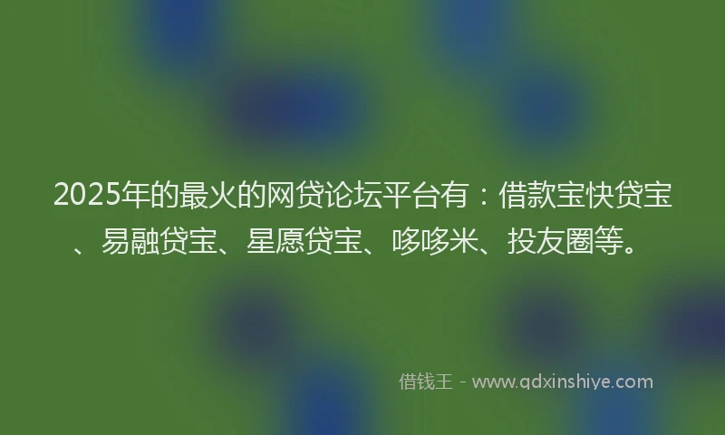 2025年的最火的网贷论坛平台有：借款宝快贷宝、易融贷宝、星愿贷宝、哆哆米、投友圈等。