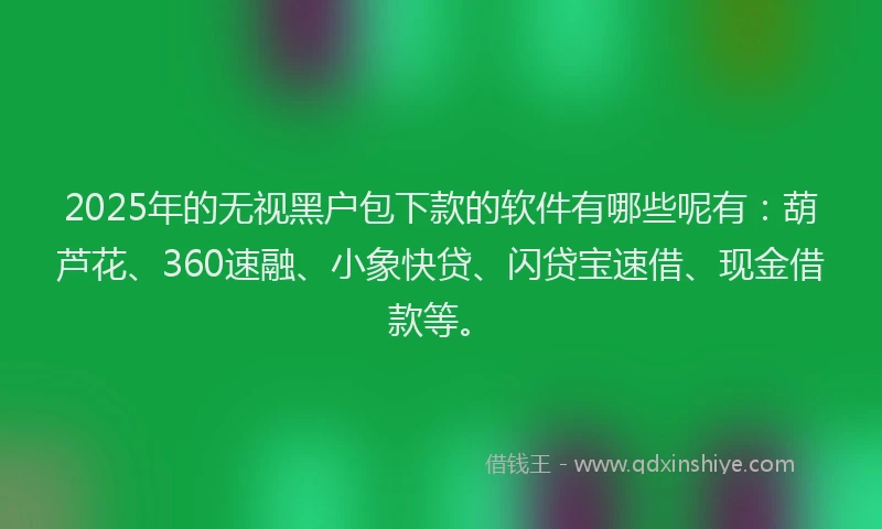 2025年的无视黑户包下款的软件有哪些呢有：葫芦花、360速融、小象快贷、闪贷宝速借、现金借款等。