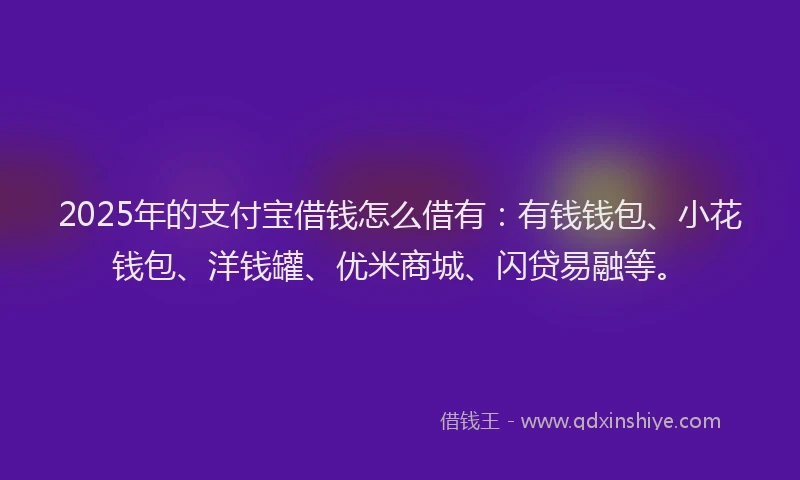 2025年的支付宝借钱怎么借有：有钱钱包、小花钱包、洋钱罐、优米商城、闪贷易融等。