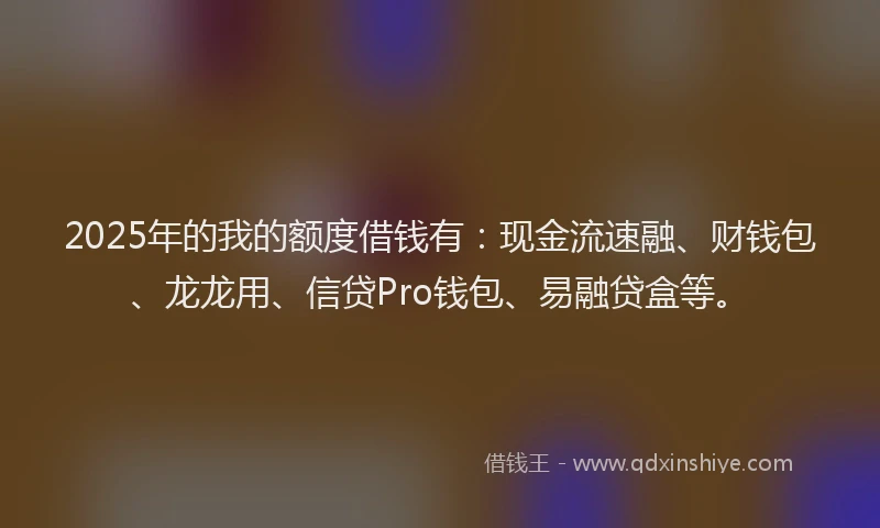 2025年的我的额度借钱有：现金流速融、财钱包、龙龙用、信贷Pro钱包、易融贷盒等。