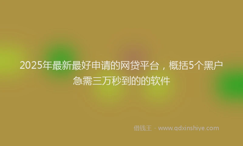 2025年最新最好申请的网贷平台，概括5个黑户急需三万秒到的的软件