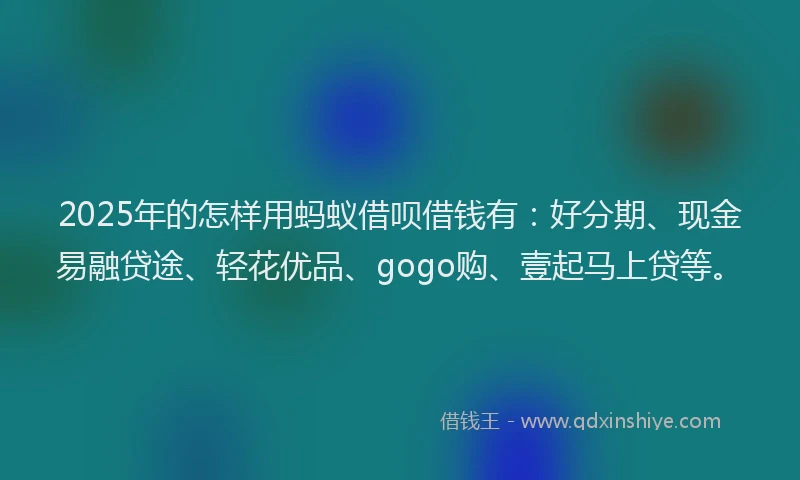 2025年的怎样用蚂蚁借呗借钱有：好分期、现金易融贷途、轻花优品、gogo购、壹起马上贷等。