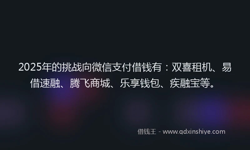 2025年的挑战向微信支付借钱有：双喜租机、易借速融、腾飞商城、乐享钱包、疾融宝等。