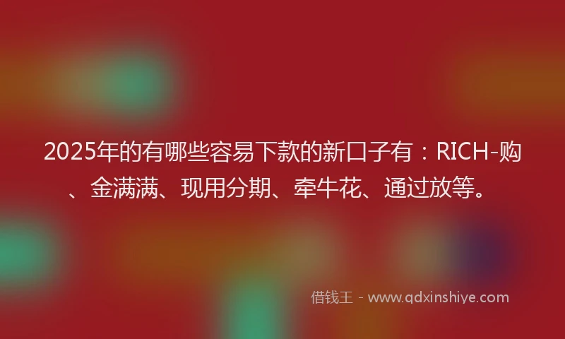 2025年的有哪些容易下款的新口子有：RICH-购、金满满、现用分期、牵牛花、通过放等。