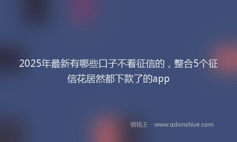 2025年最新有哪些口子不看征信的，整合5个征信花居然都下款了的app